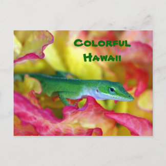 farbenfroh Hawaii Postkarte