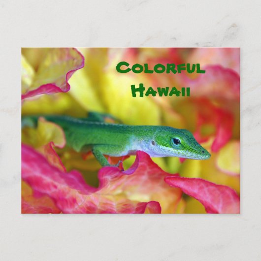 farbenfroh Hawaii Postkarte (Vorderseite)