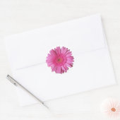 Farbenfroh, hell Pink Gerber Daisy Sticker (Umschlag)