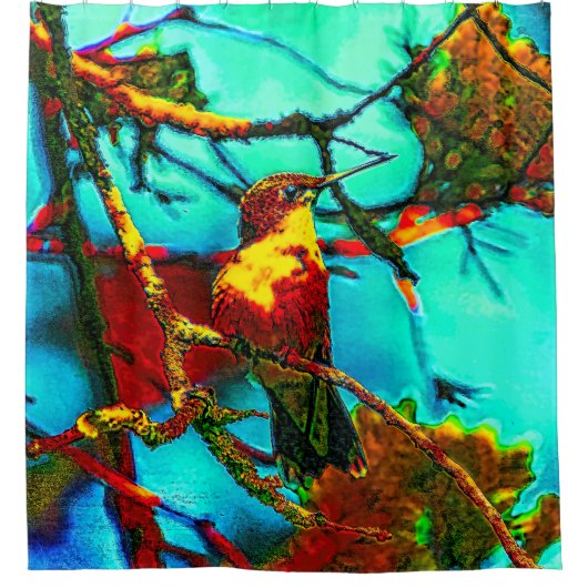 Farbenfroh Hummingbird Duschvorhang (Vorderseite)