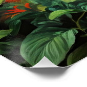 Farbenfroh Hummingbird Poster (Ecke)