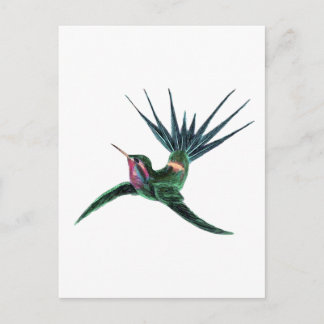 Farbenfroh Hummingbird Postkarte
