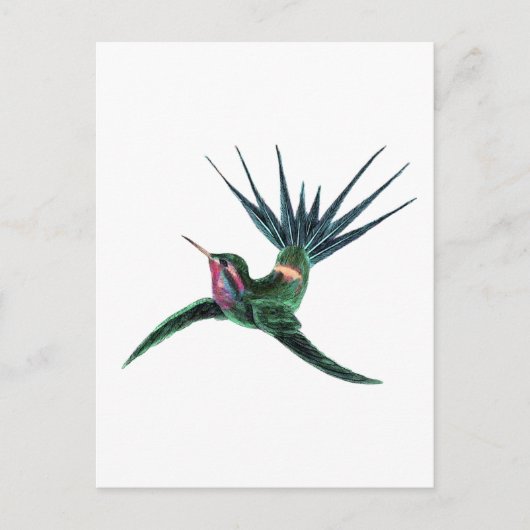 Farbenfroh Hummingbird Postkarte (Vorderseite)