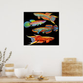 Farbenfroh-Kilifish-Poster Poster (Küche)