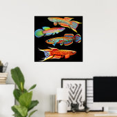 Farbenfroh-Kilifish-Poster Poster (Heimbüro)