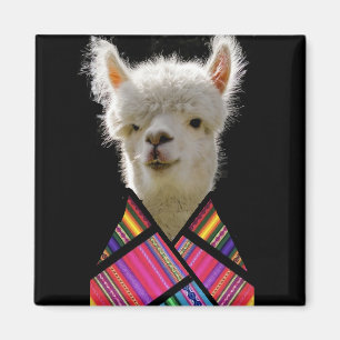 Farbenfroh Llama Magnet
