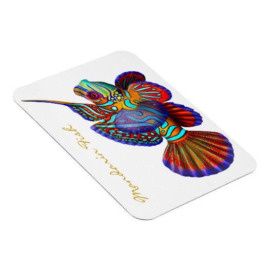 Farbenfroh Mandarin Goby Reef Fish Premium Flexi M Magnet (Rechte Seite)