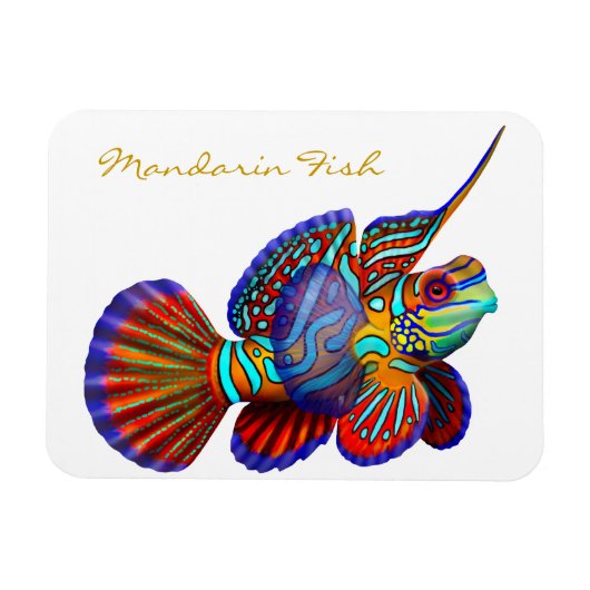 Farbenfroh Mandarin Goby Reef Fish Premium Flexi M Magnet (Horizontal)