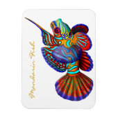 Farbenfroh Mandarin Goby Reef Fish Premium Flexi M Magnet (Vertikal)