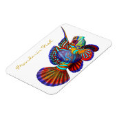 Farbenfroh Mandarin Goby Reef Fish Premium Flexi M Magnet (Linke Seite)