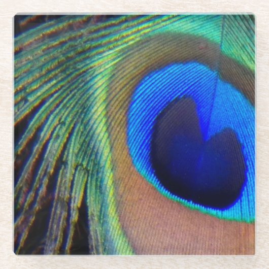Farbenfroh Peacock Feather Eyespot Glasuntersetzer (Vorderseite)
