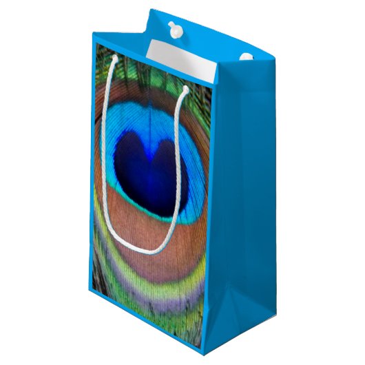 Farbenfroh Peacock Feather Eyespot Kleine Geschenktüte (Vorderseite Schrägansicht)