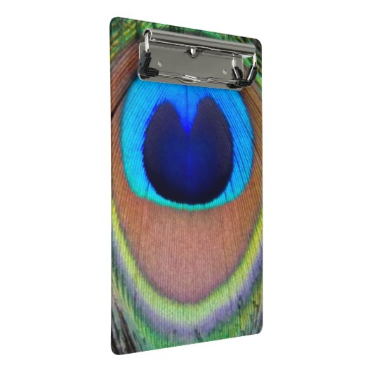 Farbenfroh Peacock Feather Eyespot Mini Klemmbrett (Schrägansicht)