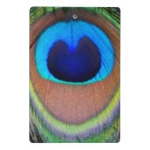 Farbenfroh Peacock Feather Eyespot Mini Klemmbrett (Rückseite)