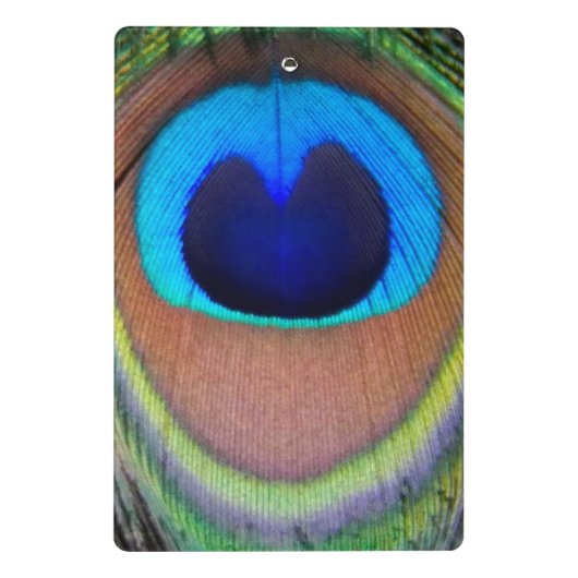 Farbenfroh Peacock Feather Eyespot Mini Klemmbrett (Rückseite)