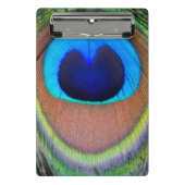 Farbenfroh Peacock Feather Eyespot Mini Klemmbrett (Vorderseite)