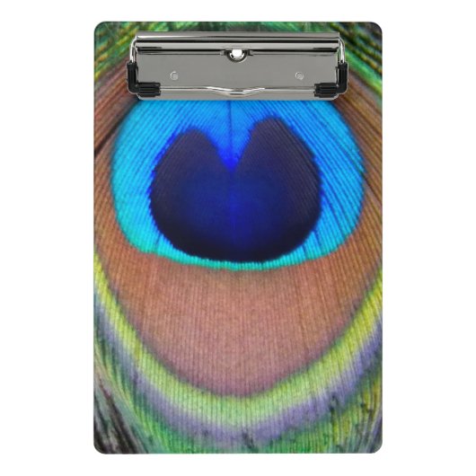 Farbenfroh Peacock Feather Eyespot Mini Klemmbrett (Vorderseite)