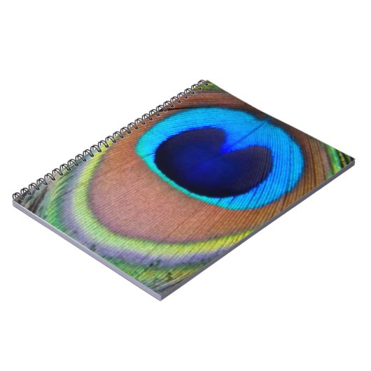 Farbenfroh Peacock Feather Eyespot Notizblock (Linke Seite)