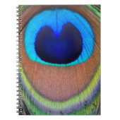 Farbenfroh Peacock Feather Eyespot Notizblock (Vorderseite)