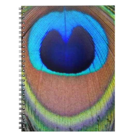 Farbenfroh Peacock Feather Eyespot Notizblock (Vorderseite)