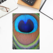 Farbenfroh Peacock Feather Eyespot Notizblock
