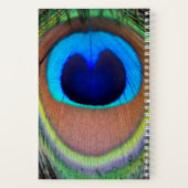 Farbenfroh Peacock Feather Eyespot Notizblock (Rückseite)