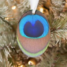 Farbenfroh Peacock Feather Eyespot Ornament