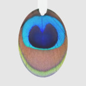 Farbenfroh Peacock Feather Eyespot Ornament (Vorderseite)