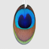 Farbenfroh Peacock Feather Eyespot Ornament (Vorderseite)