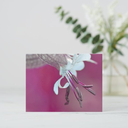 Farbenfroh Postkarte (Stehend Vorderseite)