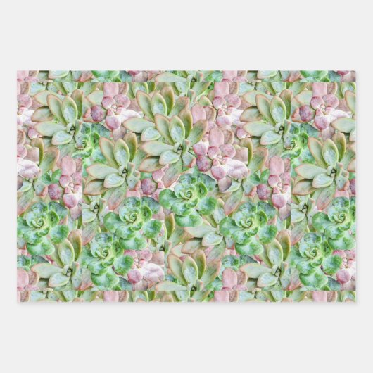 farbenfroh sukkulant geschenkpapier set (Vorderseite 3)