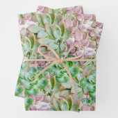 farbenfroh sukkulant geschenkpapier set (Beispiel)