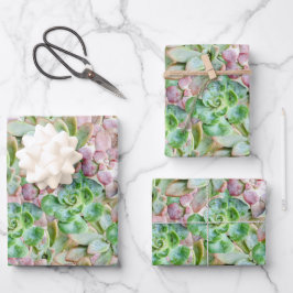 farbenfroh sukkulant geschenkpapier set