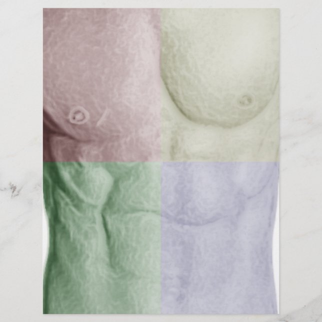 Farbenfrohe Abs (Vorderseite)