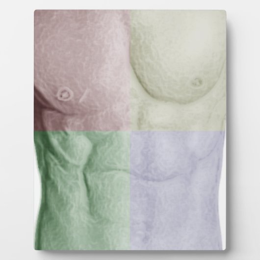 Farbenfrohe Abs Fotoplatte (Vorderseite)