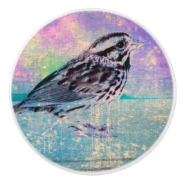 Farbenfrohe Abstrakte Vogelkunst: Lebhafter Songbi Keramikknauf