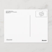 Farbenfrohe Ahorn-Blätter... Postkarte (Rückseite)