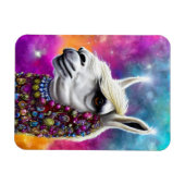 Farbenfrohe Alpaka Magnet (Horizontal)