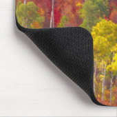 Farbenfrohe Apfel im Logan Canyon Utah im Tal Mousepad (Ecke)