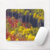 Farbenfrohe Apfel im Logan Canyon Utah im Tal Mousepad (Mit Mouse)