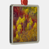 Farbenfrohe Apfel im Logan Canyon Utah in den 2 Silbernes Ornament (Rechts)