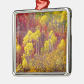 Farbenfrohe Apfel im Logan Canyon Utah in den 2 Silbernes Ornament (Links)