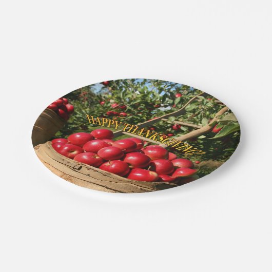 Farbenfrohe Apple Ernte Happy Thanksgiving Pappteller (Schrägansicht)