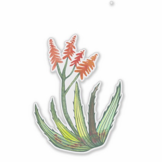 Farbenfrohe Aquarellbahn Vera Sukkuläre Blume Aufkleber (Vorderseite)