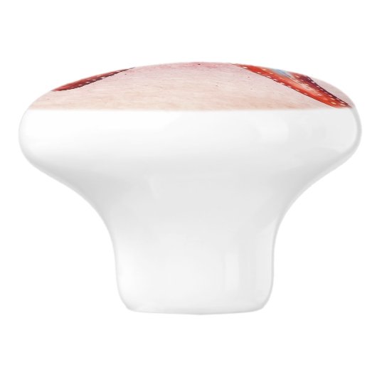 Farbenfrohe Aquarellmalerei mit Seesternenrot Keramikknauf (Seitenansicht)