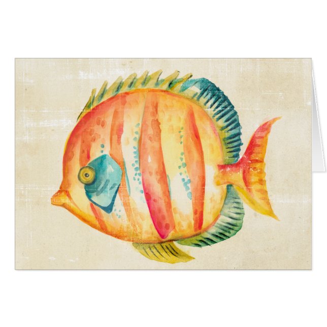 Farbenfrohe Aquarienfische (Vorderseite (Horizontal))