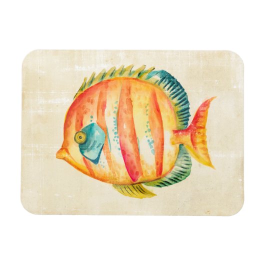 Farbenfrohe Aquarienfische Magnet (Horizontal)