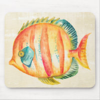 Farbenfrohe Aquarienfische