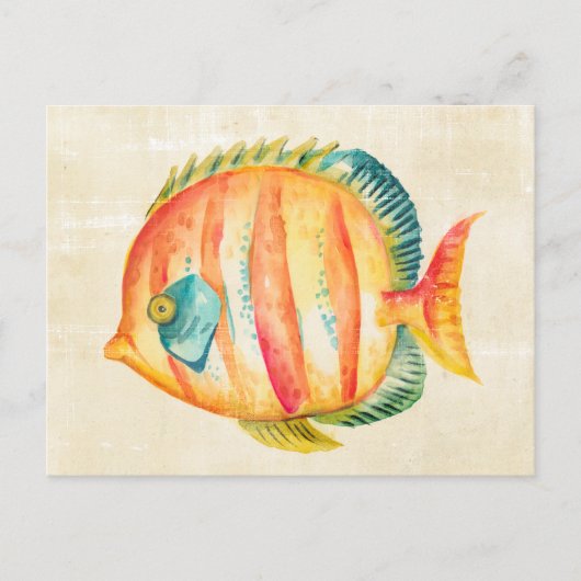 Farbenfrohe Aquarienfische Postkarte (Vorderseite)
