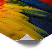 Farbenfrohe Ara Poster (Ecke)